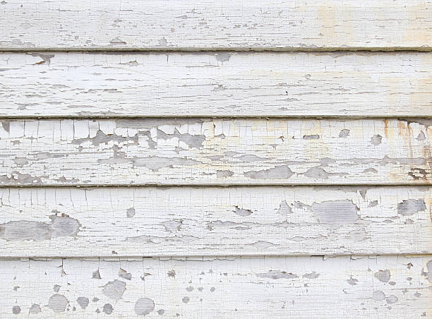 Trusted Justice, IL Junk Removal Experts